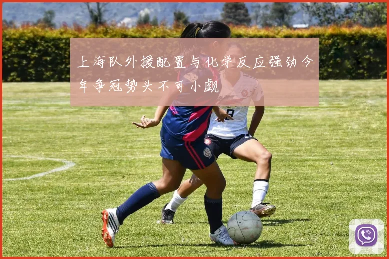 上海队外援配置与化学反应强劲今年争冠势头不可小觑
